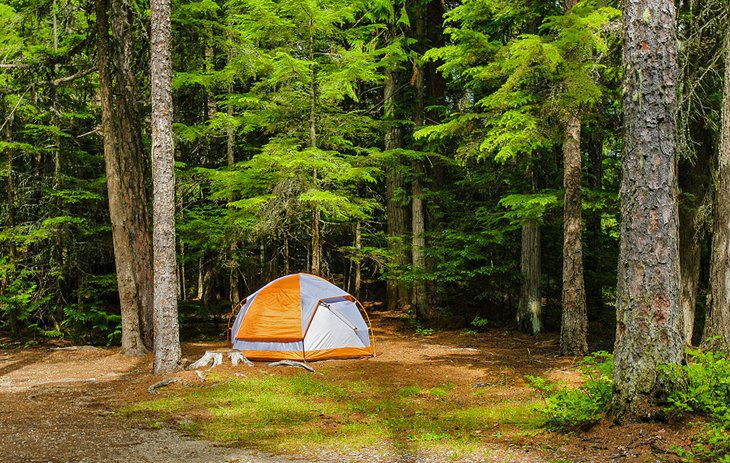 17 Top-Rated Campgrounds in Glacier National Park, MT