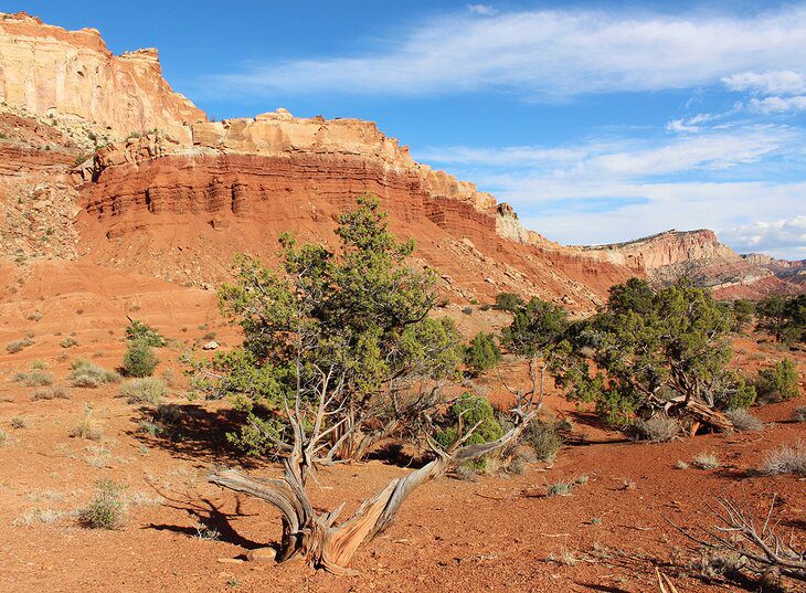 17 Top-Rated National and State Parks in Utah