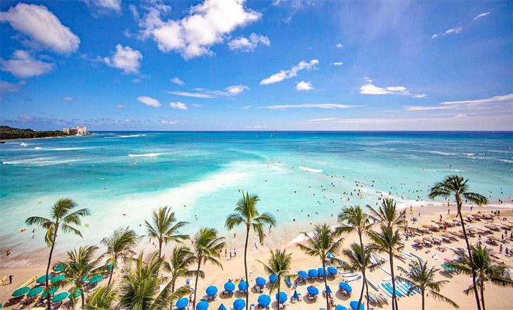 17 Top-Rated Resorts on Oahu