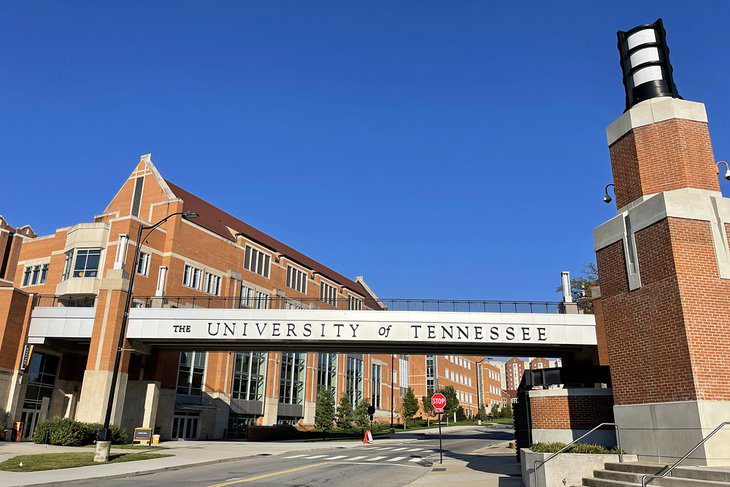 17 Top-Rated Things to Do in Knoxville, TN