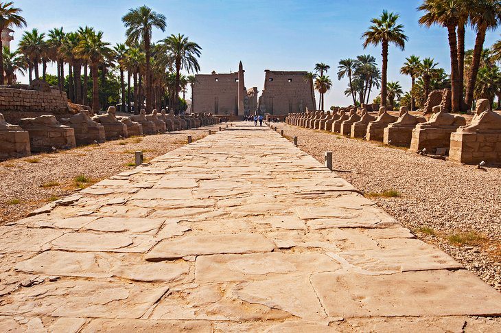 17 Top-Rated Things to Do in Luxor