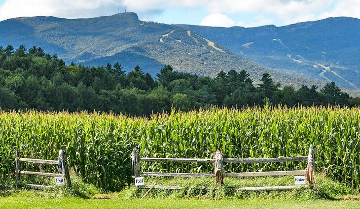 17 Top-Rated Things to Do in Stowe, VT