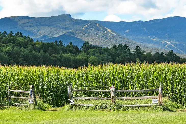 17 Top-Rated Things to Do in Stowe, VT