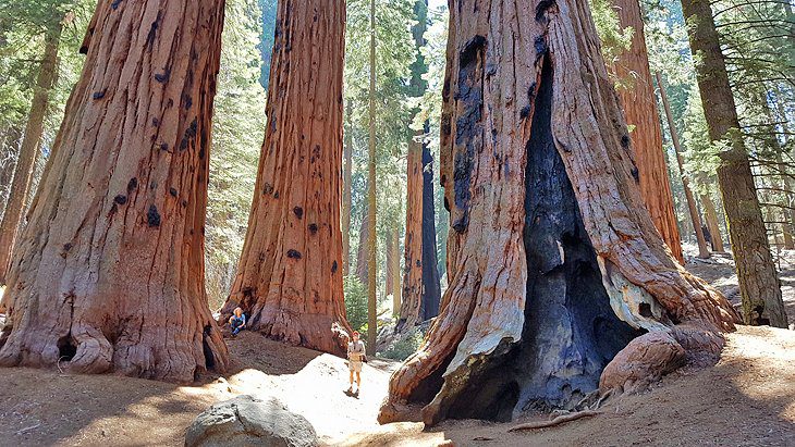 17 Top-Rated Tourist Attractions in California