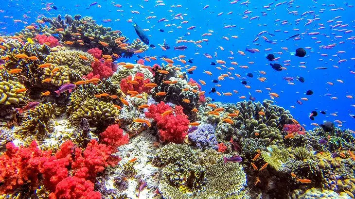 17 Top-Rated Tourist Attractions in Fiji