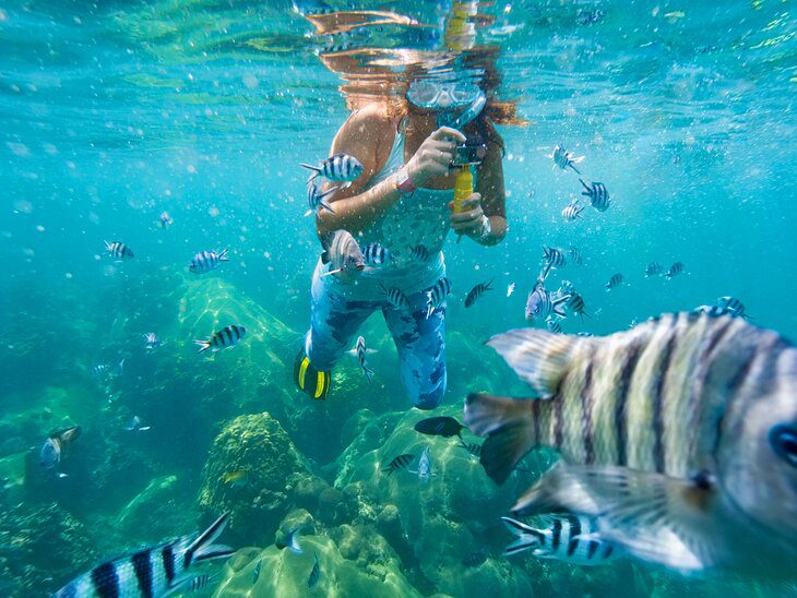 18 Best Places to Go Snorkeling in the World