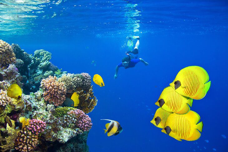 18 Best Places to Go Snorkeling in the World