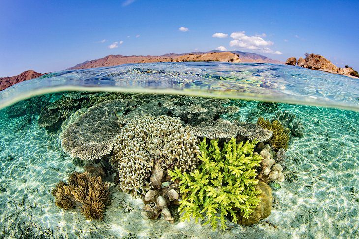 18 Best Places to Go Snorkeling in the World