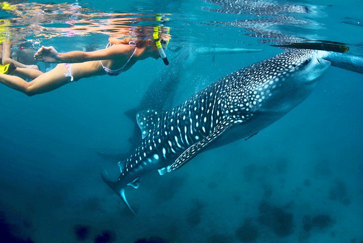 18 Best Places to Go Snorkeling in the World