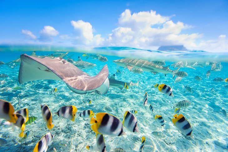 18 Best Places to Go Snorkeling in the World