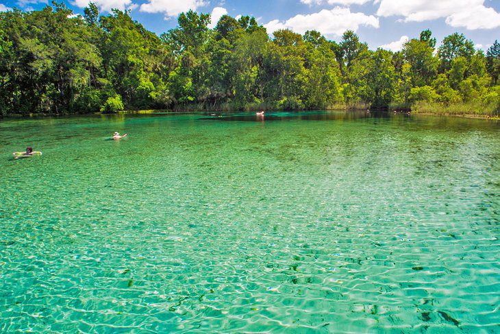 18 Best Springs in Florida