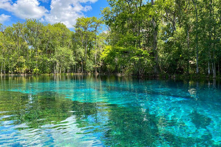 18 Best Springs in Florida