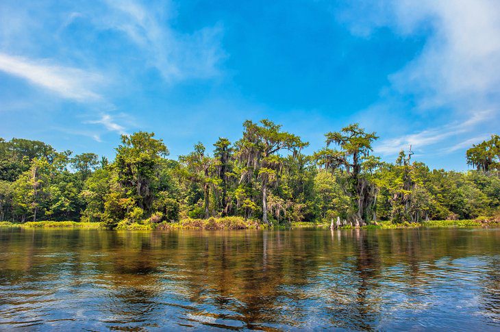 18 Best Springs in Florida