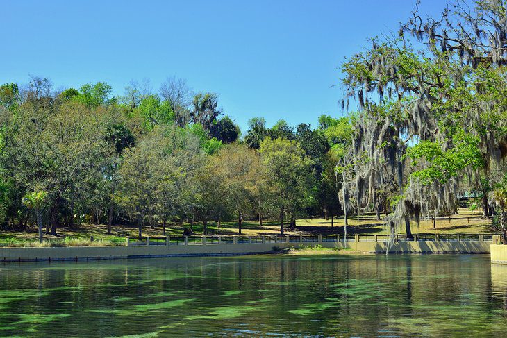 18 Best Springs in Florida