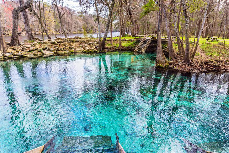 18 Best Springs in Florida