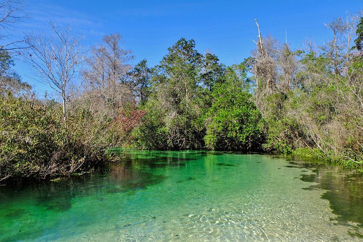 18 Best Springs in Florida