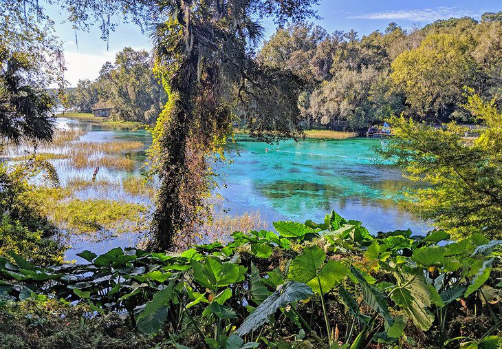 18 Best Springs in Florida