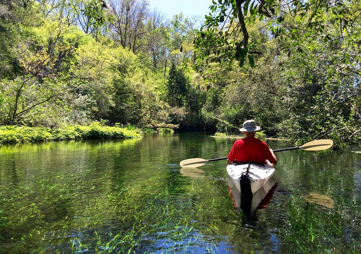 18 Best Springs in Florida