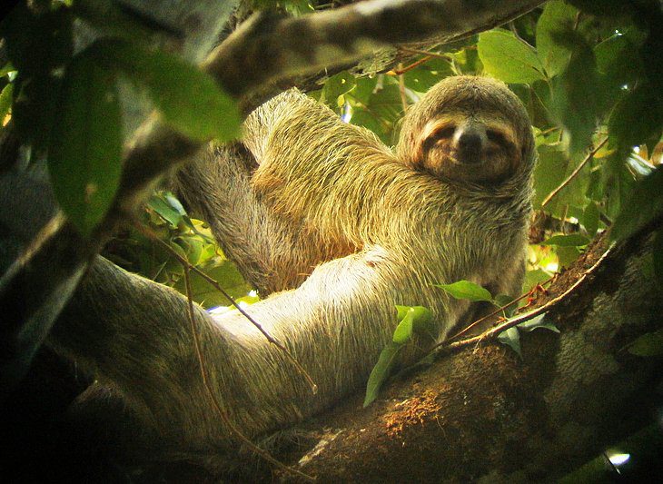 18 Top-Rated Attractions & Places to Visit in Costa Rica