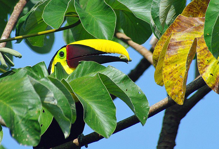 18 Top-Rated Attractions & Places to Visit in Costa Rica