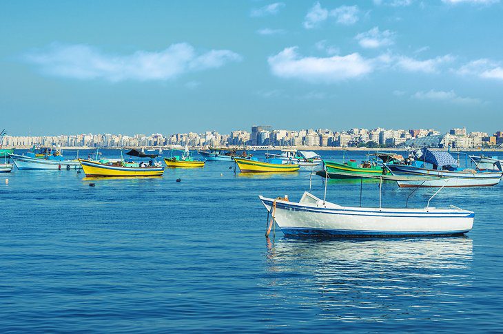 18 Top-Rated Attractions & Things to Do in Alexandria