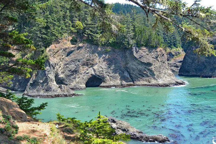 18 Top-Rated Attractions & Things to Do on the Oregon Coast