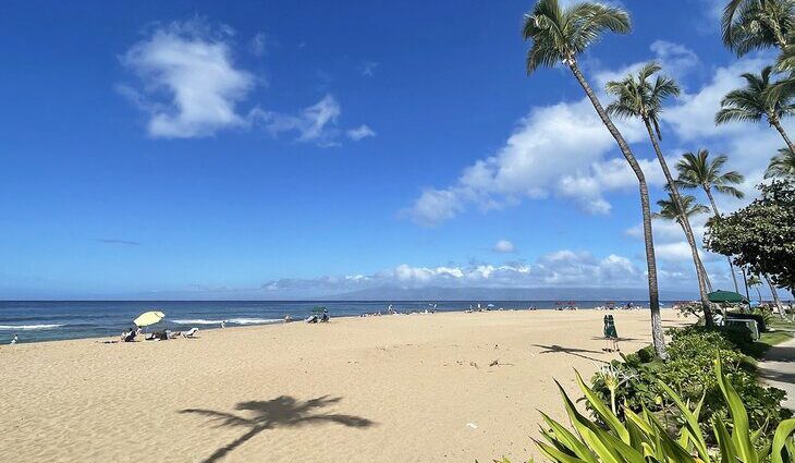 18 Top-Rated Beaches in Hawaii