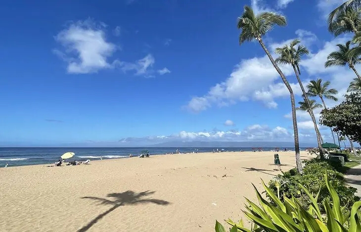 18 Top-Rated Beaches in Hawaii