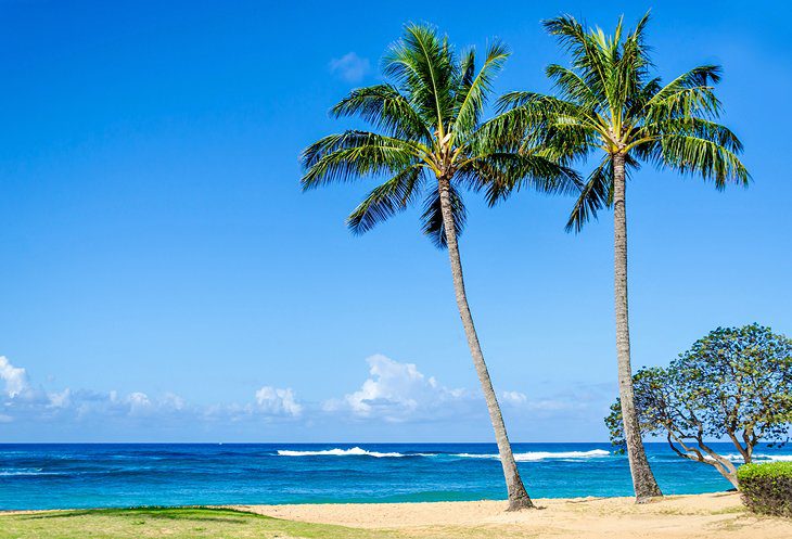 18 Top-Rated Beaches in Hawaii