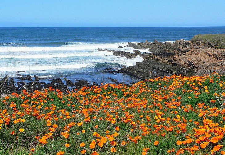 18 Top-Rated Day Trips from San Luis Obispo, CA