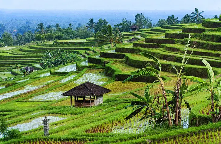 18 Top-Rated Tourist Attractions in Indonesia