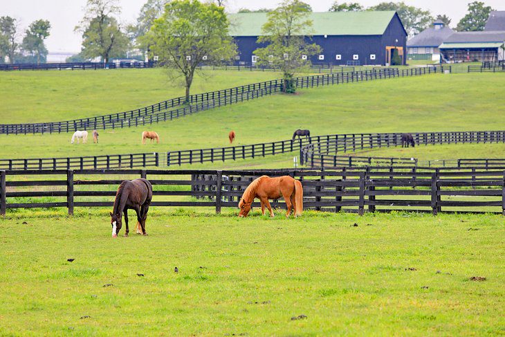 18 Top-Rated Tourist Attractions in Kentucky