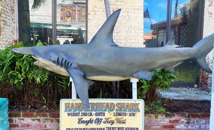 18 Top-Rated Tourist Attractions in Key West, FL