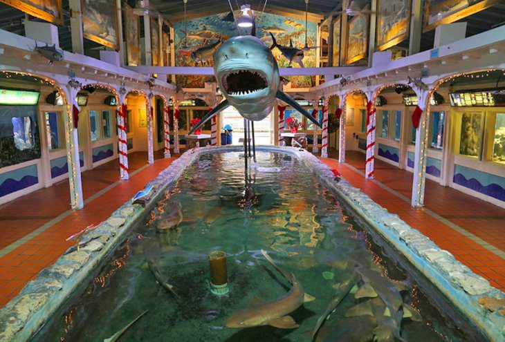 18 Top-Rated Tourist Attractions in Key West, FL