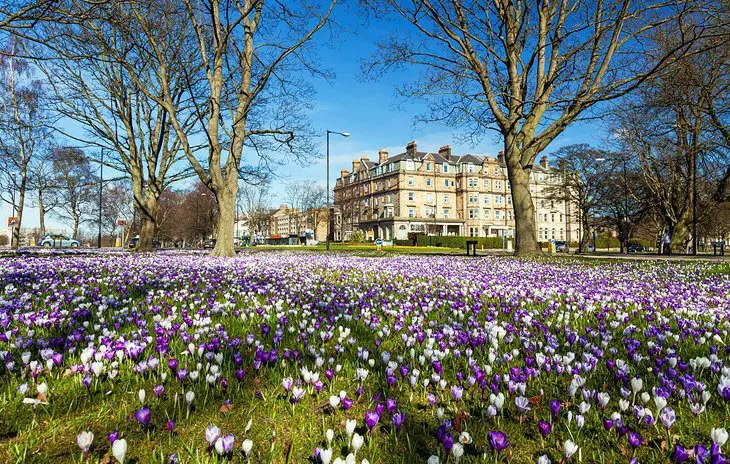 18 Top-Rated Tourist Attractions in Leeds, West Yorkshire