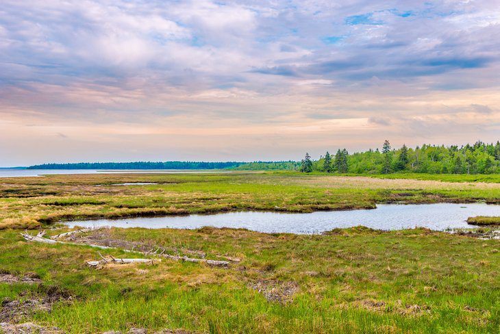 18 Top-Rated Tourist Attractions in New Brunswick