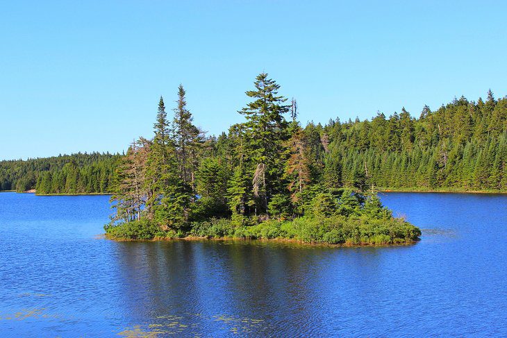 18 Top-Rated Tourist Attractions in New Brunswick