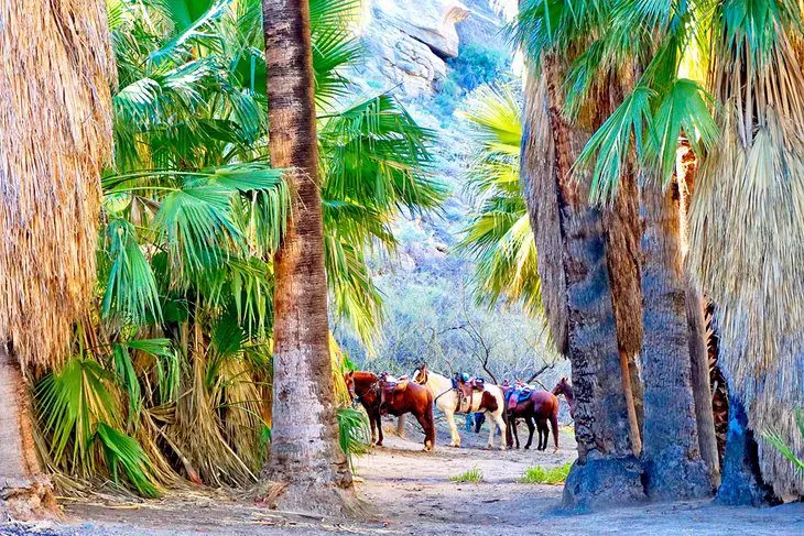 18 Top-Rated Tourist Attractions in Palm Springs, CA