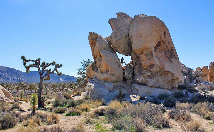 18 Top-Rated Tourist Attractions in Palm Springs, CA