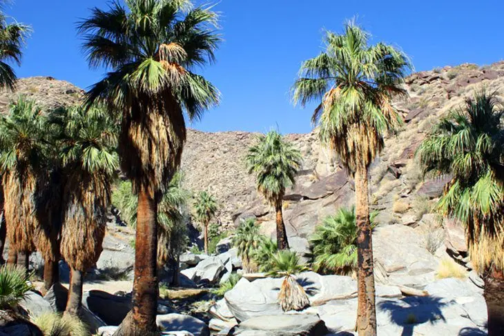 18 Top-Rated Tourist Attractions in Palm Springs, CA