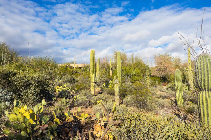 18 Top-Rated Tourist Attractions in Tucson, AZ