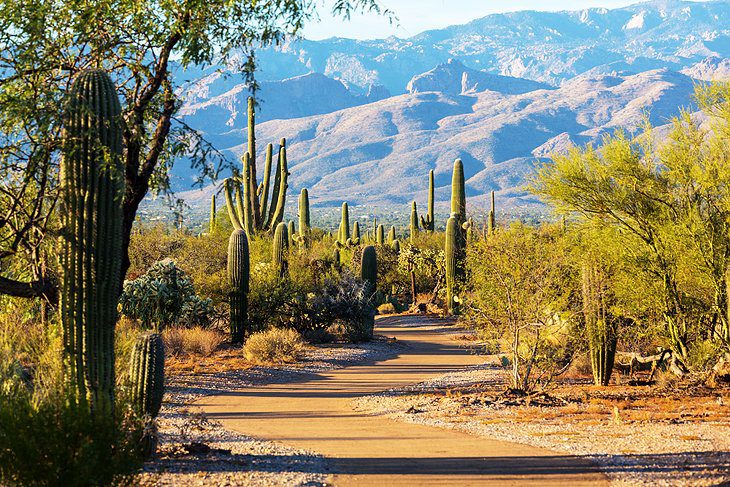 18 Top-Rated Tourist Attractions in Tucson, AZ