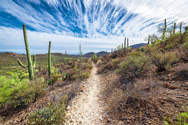 18 Top-Rated Tourist Attractions in Tucson, AZ