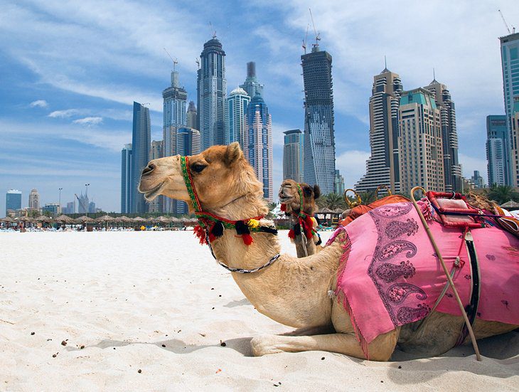 18 Top-Rated Tourist Attractions & Things to Do in the UAE