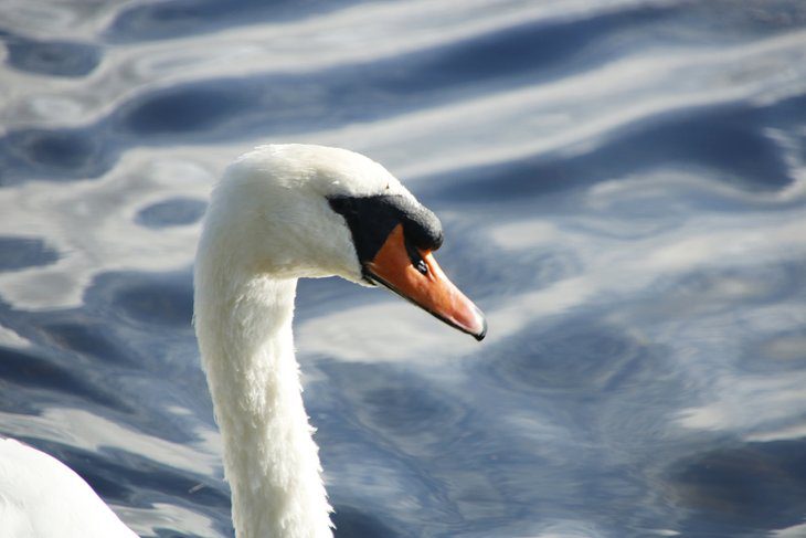 19 Beautiful Lakes in New Jersey