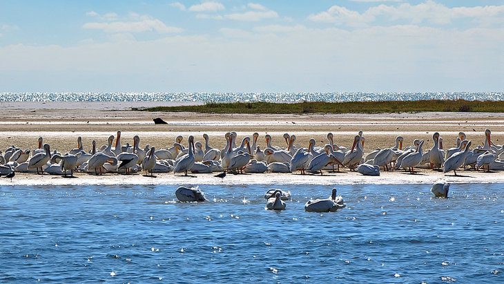 19 Best Beaches on the Florida Gulf Coast