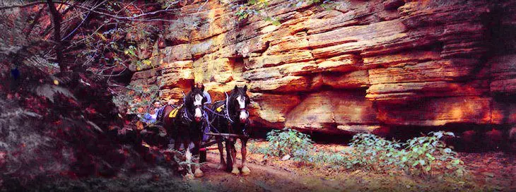 19 Top-Rated Attractions & Things to Do in Wisconsin Dells