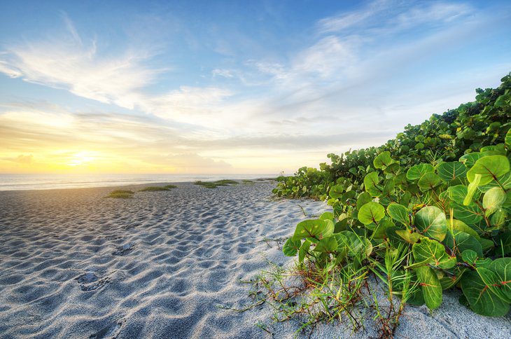 19 Top-Rated Beaches near Orlando, FL