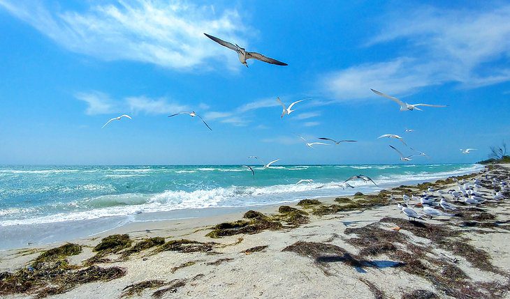 19 Top-Rated Beaches near Orlando, FL