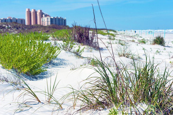 19 Top-Rated Beaches near Orlando, FL